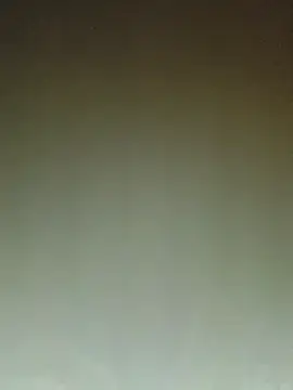 ArgentinaShani online show from 02.11.26