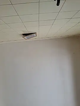 wakahoe online show from 03.22.26