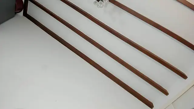 IsaSantoDomingo online show from 01.16.26