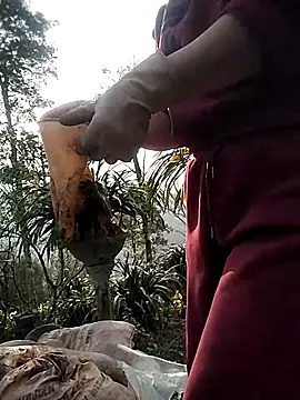 Snapshot of Alibabapi chatting on 03.01.26 Alibabapi online show from 03.01.26