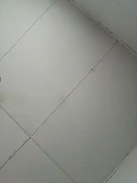 Snapshot of losangelesaid chatting on 12.04.25 losangelesaid online show from 12.04.25