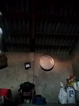 LeoPet2x online show from 12.15.25