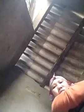 LeoPet2x online show from 02.05.26