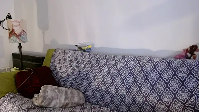 DeliaBlew online show from 12.04.25