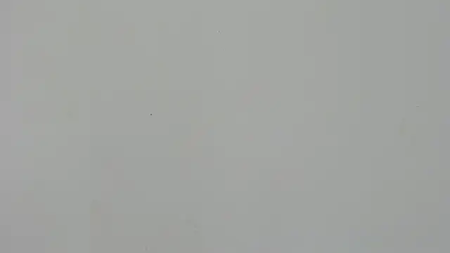 Ladymadinght online show from 02.04.26