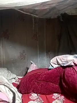 ava-dellght online show from 01.14.26