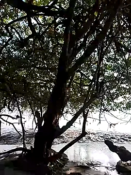 Snapshot of Andreskelly chatting on 02.13.26 Andreskelly online show from 02.13.26