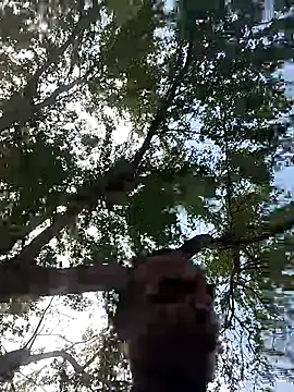 Snapshot of Andreskelly chatting on 03.17.26 Andreskelly online show from 03.17.26