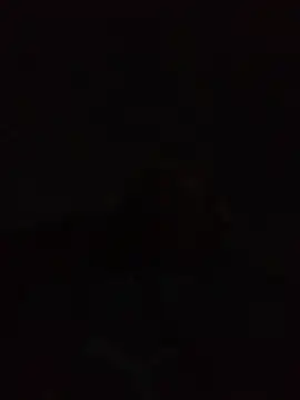 Snapshot of Andreskelly chatting on 04.22.26 Andreskelly online show from 04.22.26