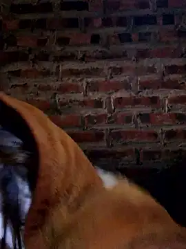 yana-zz online show from 01.13.26