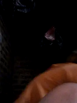 yana-zz online show from 03.28.26