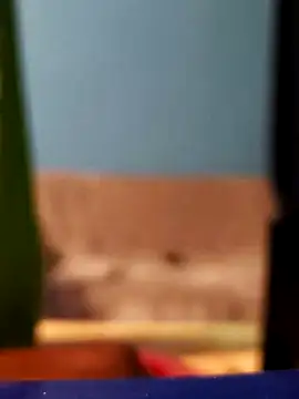 Snapshot of Roberto772 chatting on 02.26.26 Roberto772 online show from 02.26.26