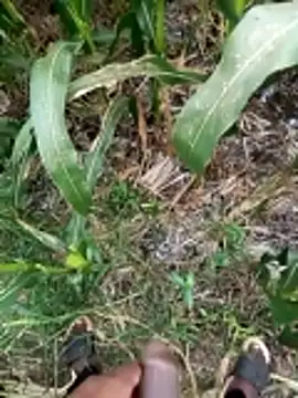 loki-king-143 online show from 03.09.26