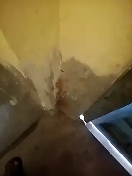 ahannaskar228 online show from 12.22.25