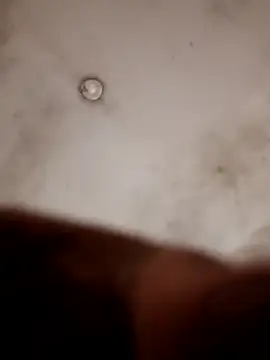 Casadocurioso50 online show from 04.07.26