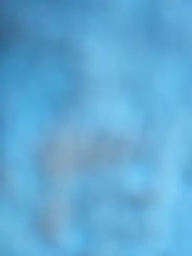 layanehot online show from 12.21.25