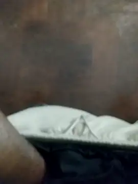 TheeblackDivckgiver online show from 02.24.26