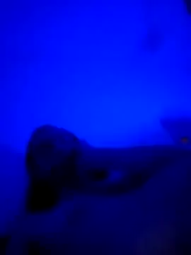 Snapshot of vladopen chatting on 01.07.26 vladopen online show from 01.07.26