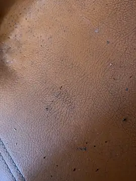 solecito sex  online show from 06.02.26
