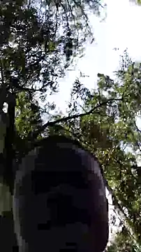 TheVersCouple online show from 01.15.26