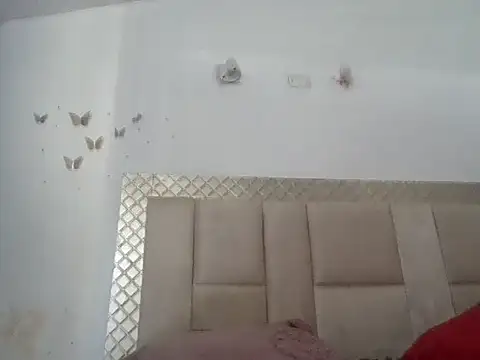 danylush online show from 02.14.26