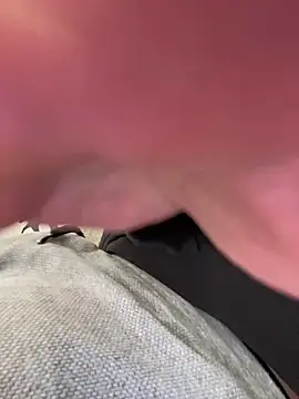 LienalWarplane online show from 03.09.26