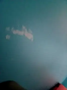 roludo16br online show from 12.22.25