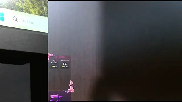 Shasapet online show from 01.11.26