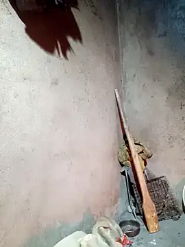 yula-bi online show from 02.24.26