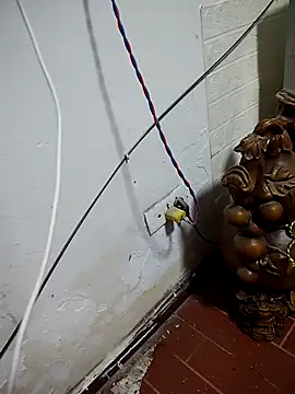 thobaby99 online show from 01.09.26