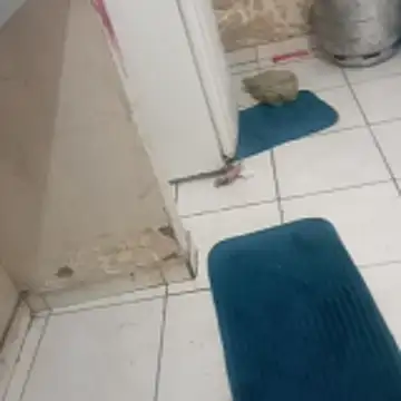 xxbucetudaxxx online show from 12.20.25