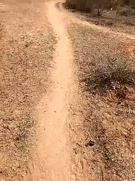 Snapshot of Tamilpaiyan07 chatting on 02.08.26 Tamilpaiyan07 online show from 02.08.26