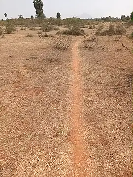 Snapshot of Tamilpaiyan07 chatting on 02.09.26 Tamilpaiyan07 online show from 02.09.26