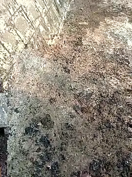 Tamilpaiyan07 online show from 03.08.26