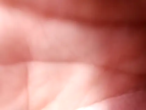 mellzinhacasada online show from 02.16.26