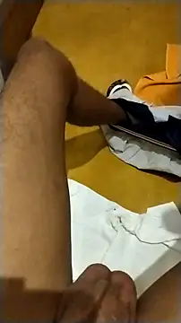 Novinhoie online show from 02.14.26