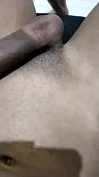 Novinhoie online show from 04.12.26