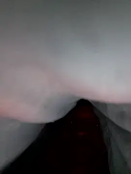 elitecb online show from 01.14.26