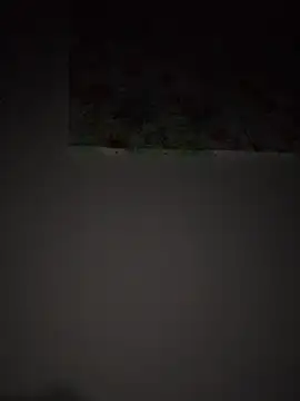 mhhgfffghh online show from 07.02.26