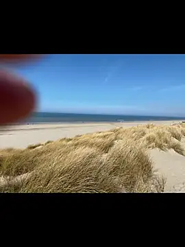 friemeldepiemel online show from 03.19.26