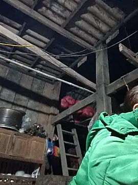 dakota-kis online show from 02.01.26