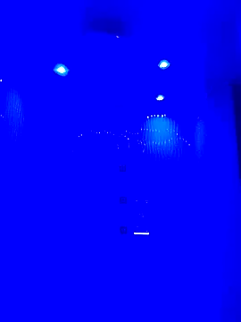 HORSELEG45 online show from 02.01.26