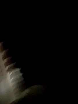 Fefe2805 online show from 04.01.26