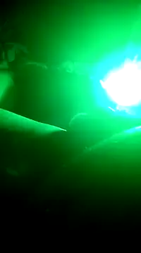 Robikabig20 online show from 01.09.25