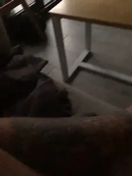 Snapshot of psilocibina22 chatting on 02.20.26 psilocibina22 online show from 02.20.26