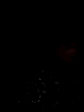 lodhi8080 online show from 03.09.26