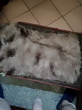 TAMI61 online show from 03.25.26