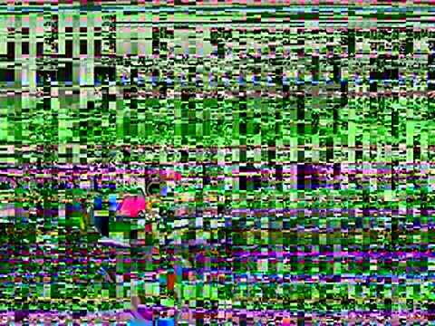 VlineBryan online show from 01.08.26