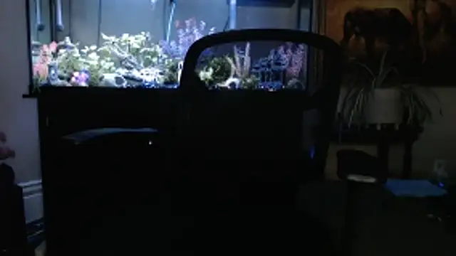 EspanolVato online show from 03.05.26