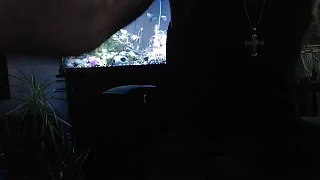 EspanolVato online show from 04.02.26